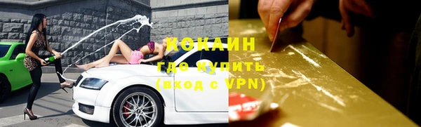 твердый Осинники
